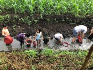 5 lý do giúp Farmstay trở thành nơi giáo dục trẻ tuyệt vời