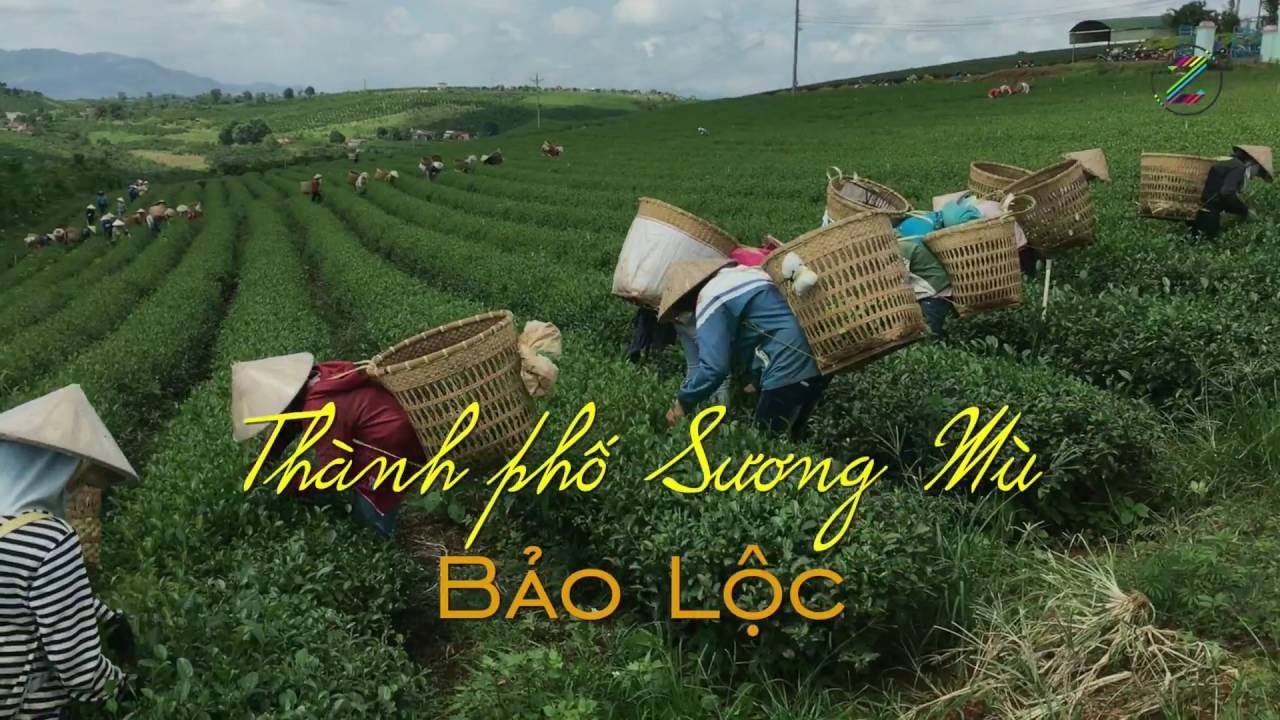 Thành phố Bảo Lộc - Lâm Đồng phát triển dựa trên bản sắc riêng