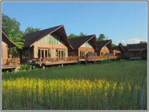 Farmstay là gì? Vì sao nên sở hữu Farmstay tại Việt Nam?
