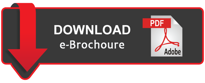 download ebrochure icon