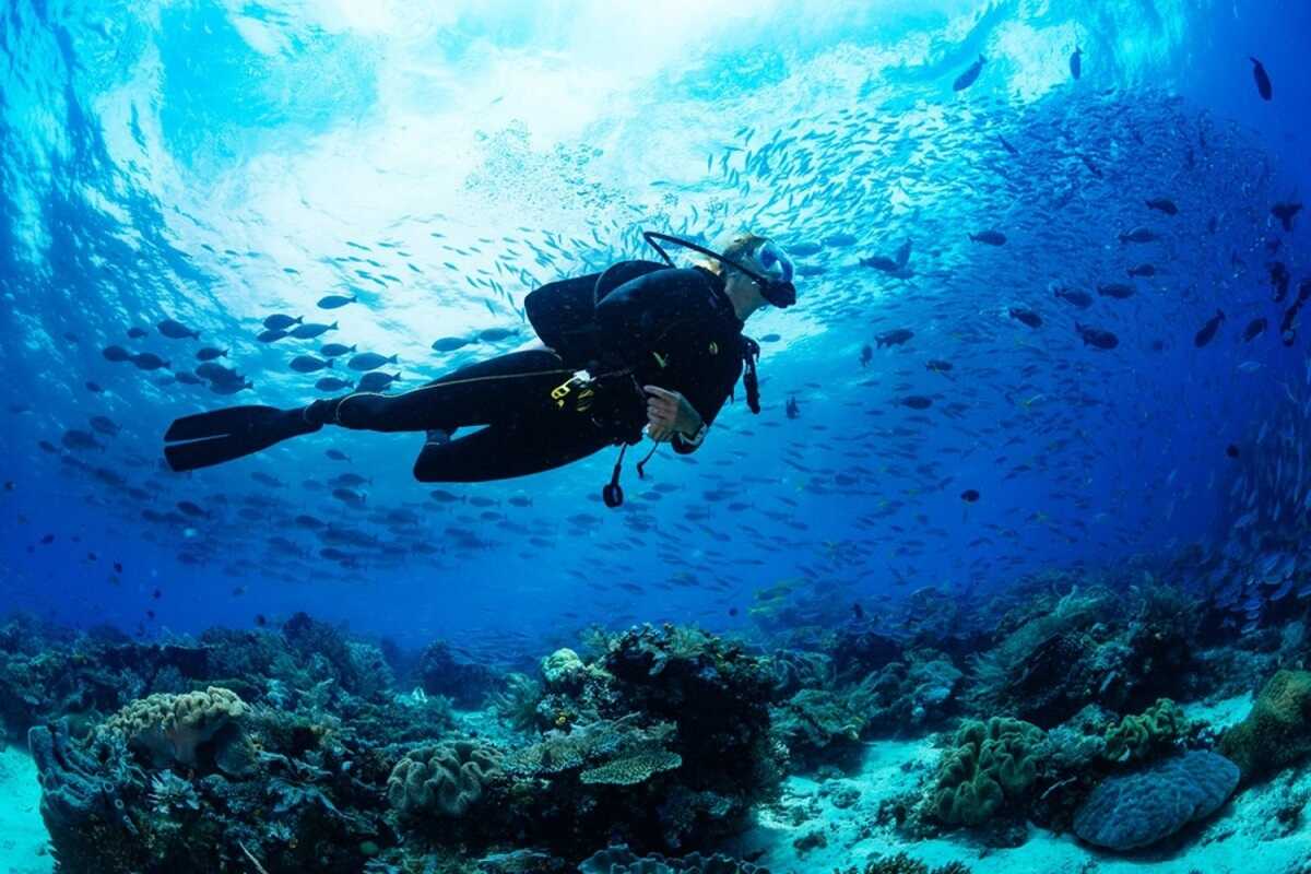 Trải nghiệm lặn biển chỉ có tại Charm Hồ Tràm
