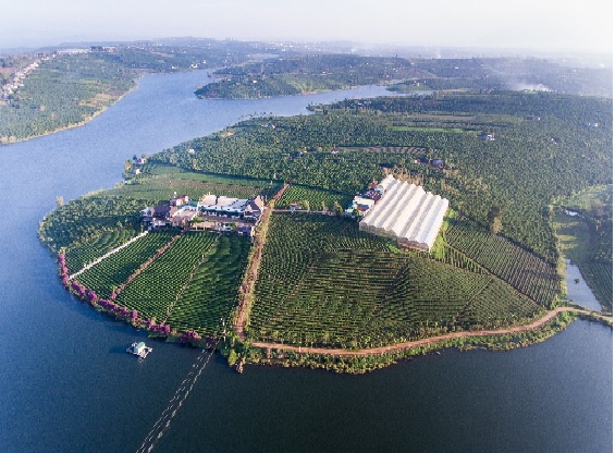 Hưng Thịnh đề xuất quy hoạch 15.000 ha ở Lâm Đồng