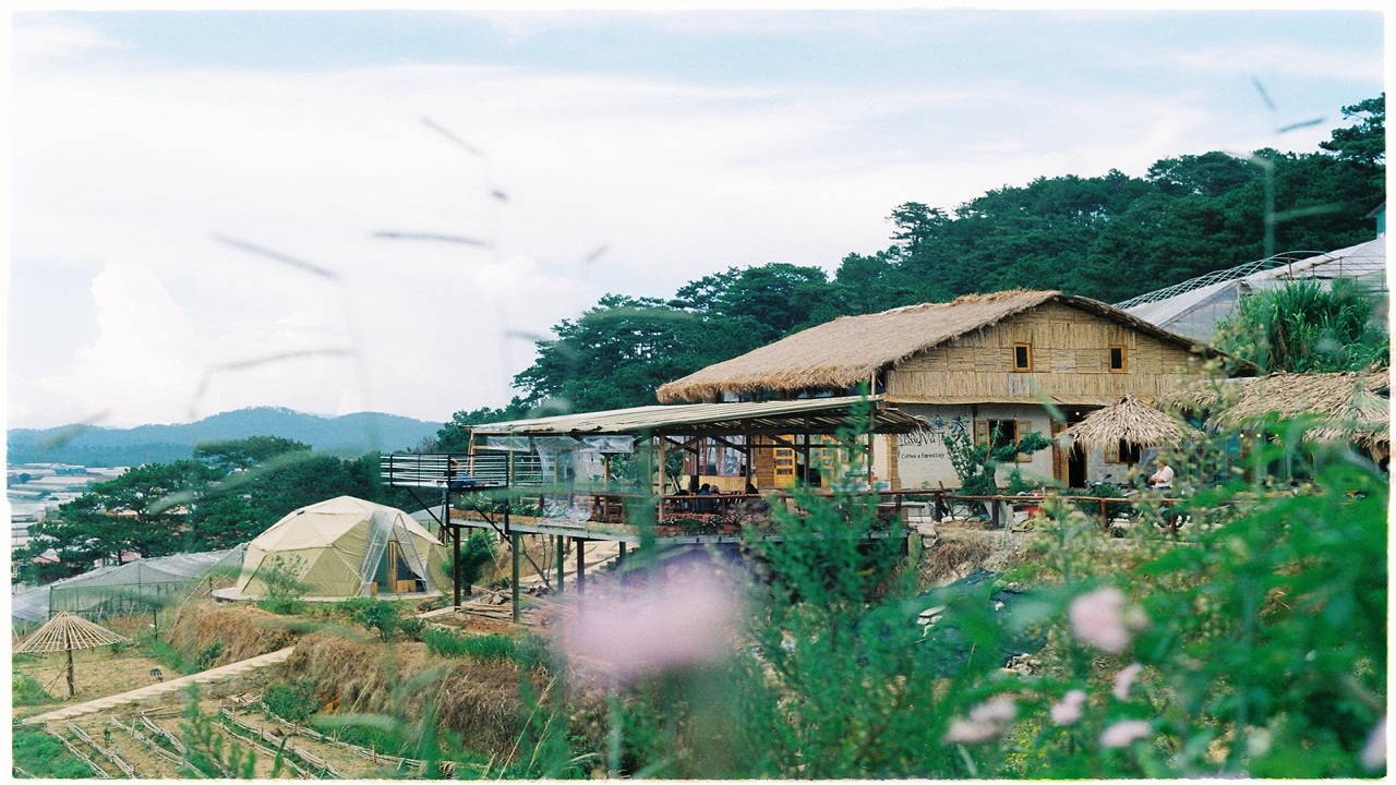the organic life homestay bao loc 1