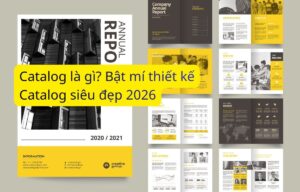 Catalog là gì? Bật mí thiết kế Catalog siêu đẹp 2026