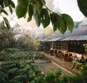 Tiệm Cafe Túi Mơ To Đà Lạt – Điểm Checkin cực đẹp 2026
