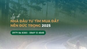 Lý do nhà đầu tư tìm mua Đất nền Đức Trọng 2025?