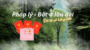 Giải Mã Quỹ Đất 6% Sở Hữu Lâu Dài Tại Phú Quốc
